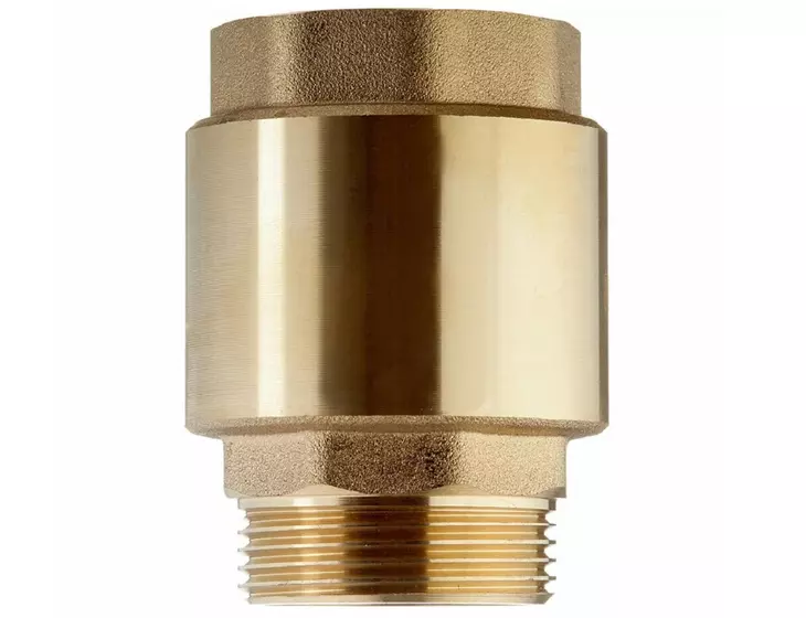 Клапан обратный магистральный Belamos FV-D 1.25" (толкатель латунь)_3